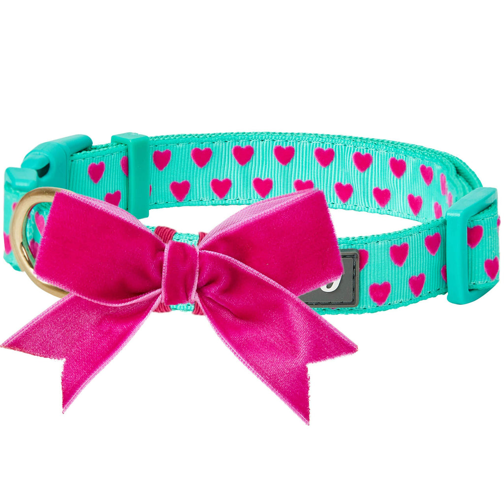 [Australia] - Blueberry Pet 20+ Patterns The Most Coveted Designer Dog Collars, Matching Leash or Harness Collar - (12"-16") Neck * 5/8" Wide Minty Green 