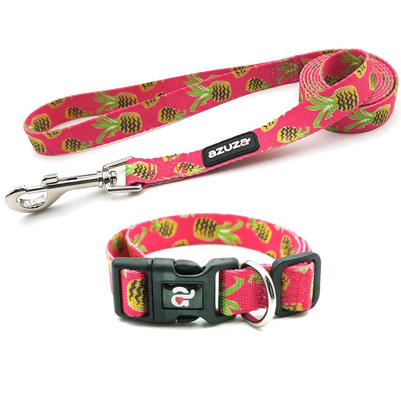 [Australia] - azuza Dog Collar and Leash Set, Cute Fruit Patterns, Adjustable Nylon Collar with Matching Leash for Small Medium and Large Dogs S (Neck: 11"-16") Pineapple 