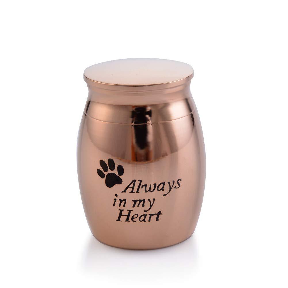 Sunling Small Rose Gold Waterproof Stainless Steel Decorative MemorialKeepsake Cremation Urn for Human Pet Ashes Holder for Nana Papa Dog Cat Always in my heart with paws - PawsPlanet Australia