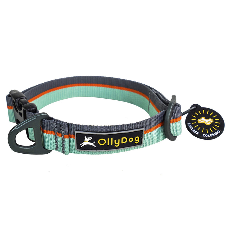 [Australia] - OllyDog Flagstaff Dog Collar, Surf, Large 