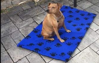 [Australia] - FIDO: Portable Pet Pallets/Mat - Large Blue 24 x 36 