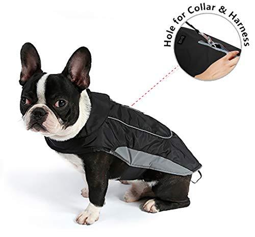 [Australia] - Morezi Premium Outdoor Sport Waterproof Dog Jacket Winter Warm Large Dog Coat with Harness Hole Small (Length: 13.00"in) Black 