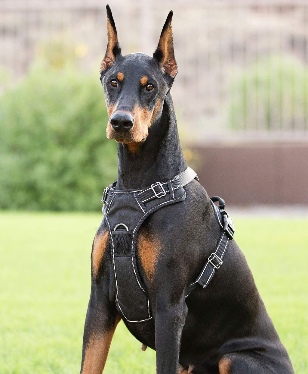 [Australia] - 4Knines Dog Harness Large Black 