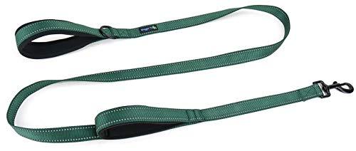 [Australia] - Wagtime Club Soft &Thick Dual Handle 6FT Dog Leash, Premium Strength Double Padded Handles - Vibrant Colors with Reflective Option Reflective Hunter Green 