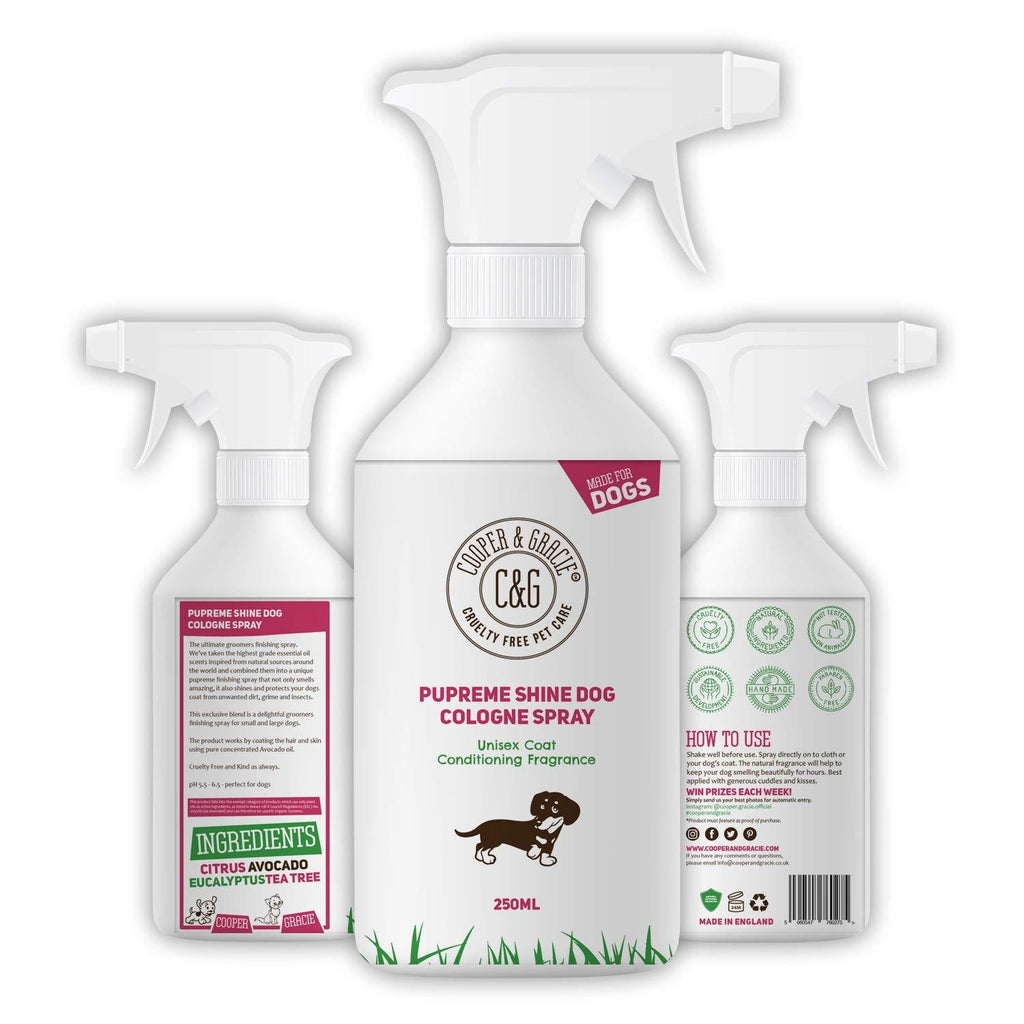 Detangling Dog Perfume Spray 250ml | Leaves Dog Coat Detangled and Super Shiny | A Great Long Lasting Dogs Hypoallergenic Grooming Cologne | Citrus Eucalyptus Lemongrass Essential Oils Scents - PawsPlanet Australia