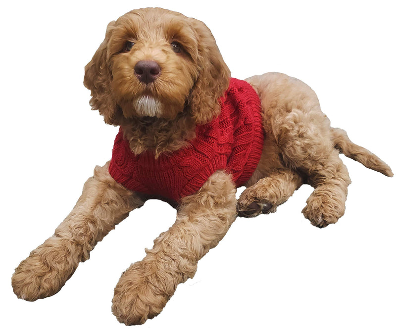 Funky Junque Pet Sweater Dog Jacket Warm Winter Stretch Knit Puppy Coat Vest S Red - PawsPlanet Australia