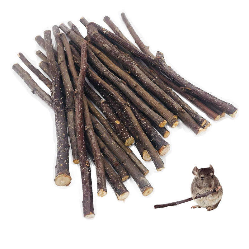 William Craft 500g Apple Sticks Pet Chew Toys for Chinchilla Guinea Pigs Rabbits 100g - PawsPlanet Australia