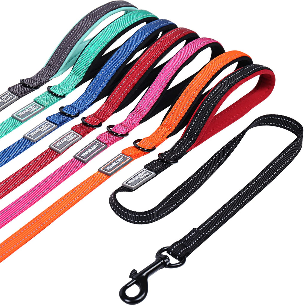 VIVAGLORY Dog Leash with Padded Handle, Heavy Duty Reflective Nylon Training Leash Walking Lead for Small to Large Dogs 3 ft. x 1/2 in. (0~25 lbs.) Black - PawsPlanet Australia