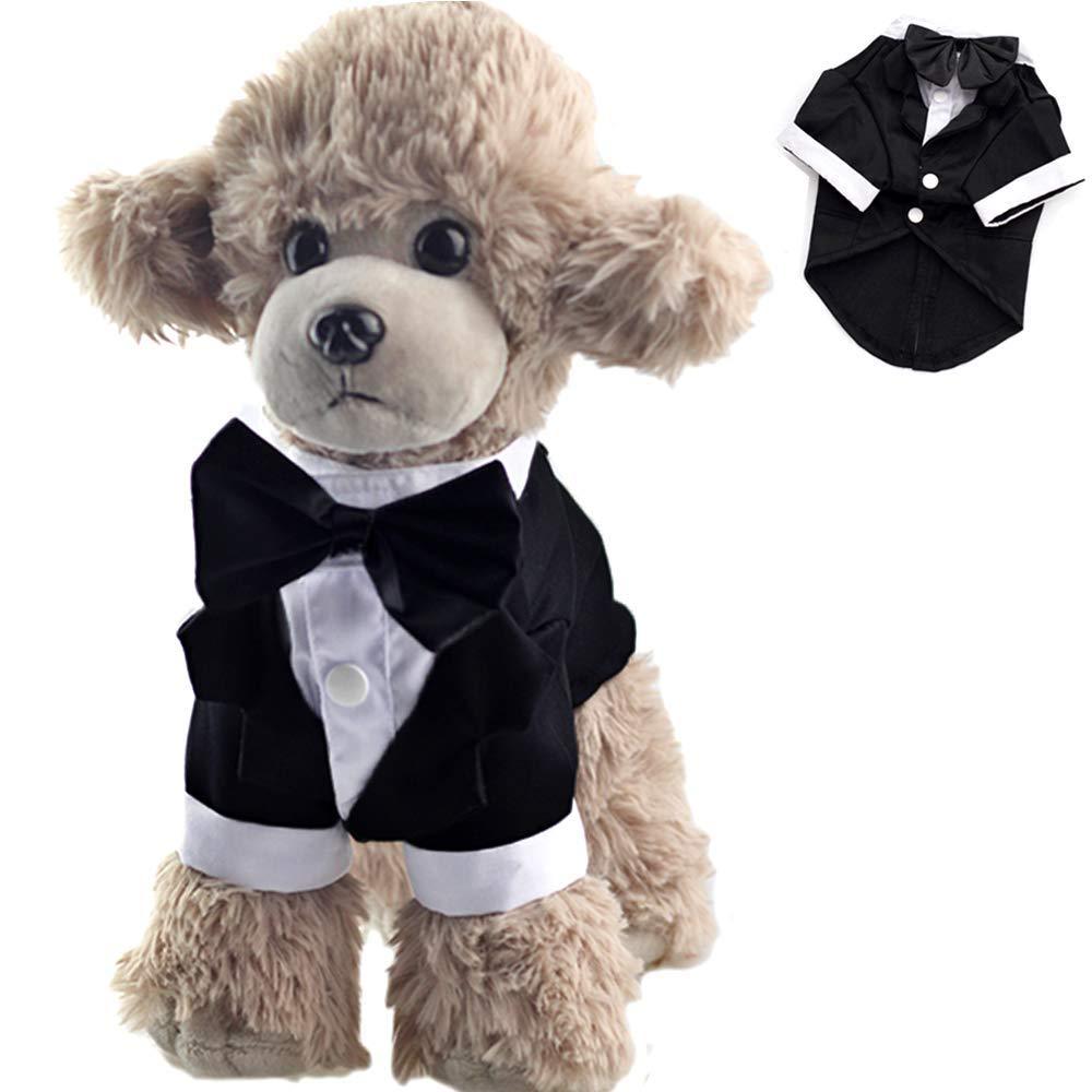 [Australia] - ANIAC Formal Suit Wedding Party Tuxedo Black Bow-Knot White Collar Stylish Tail Clothes Cats Dogs X-Large 