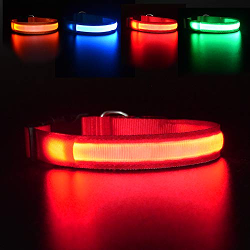MASBRILL Light Up Dog Collar, LED Glow Collar with USB Rechargeable Lighted Bright Purple Dog Flashing Collar Waterproof, 4 Colors with 3 Sizes for Small Medium Large Dogs S(0.98*15.75") Red - PawsPlanet Australia