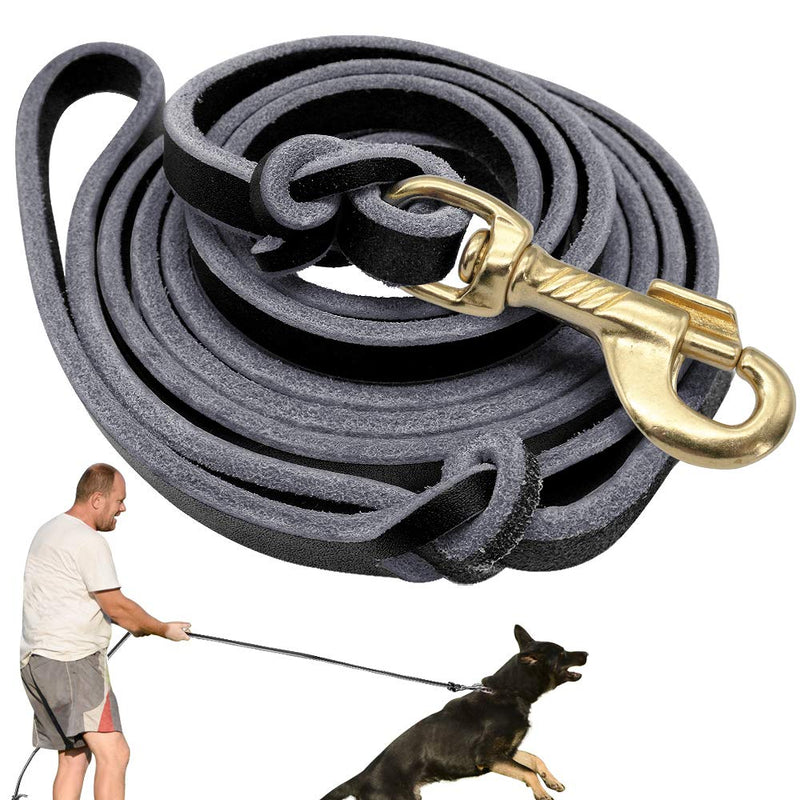 [Australia] - Didog Genuine Leather Dog Leashes, 8 Foot Professional Training Heavy Duty Dog Leashes, Fit Medium Large Dogs Walking Training Competition Black 