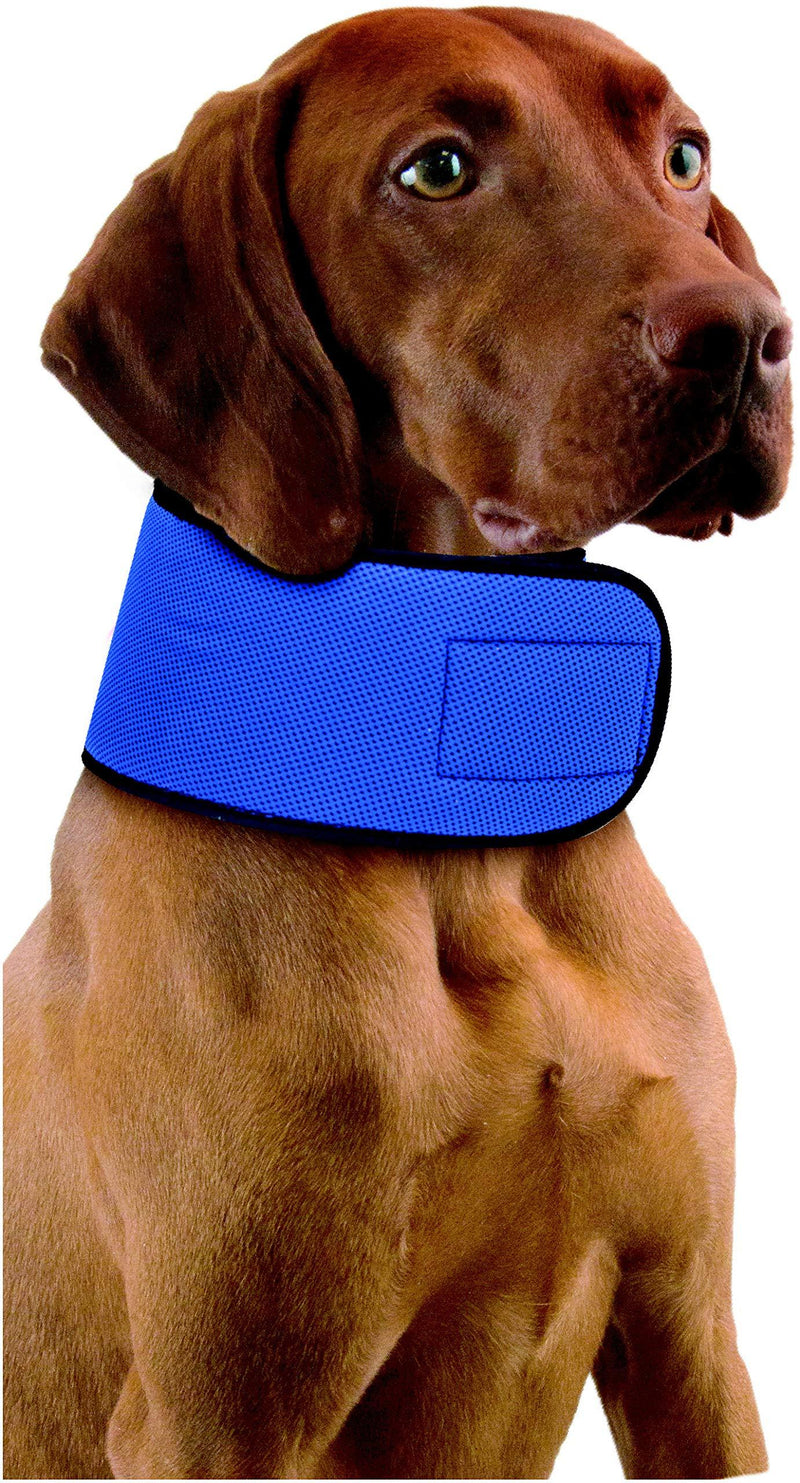 [Australia] - Penn Plax Glacial Gear Cooling Collar Dogs Med 