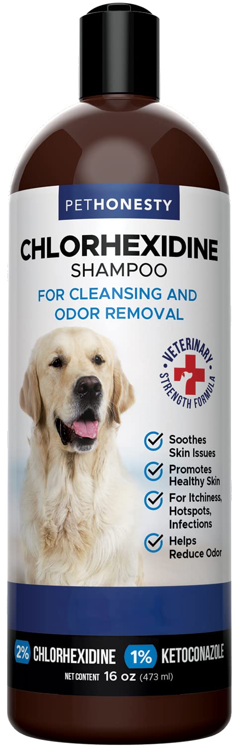 PetHonesty Chlorhexidine Shampoo - Ketoconazole & Aloe for Dogs & Cats - Helps Itching, Hot Spots, Ringworm, Pyoderma & Allergies, Sensitive Skin, Deodorizing Dog Shampoo, Dog Grooming Supplies - 16oz - PawsPlanet Australia