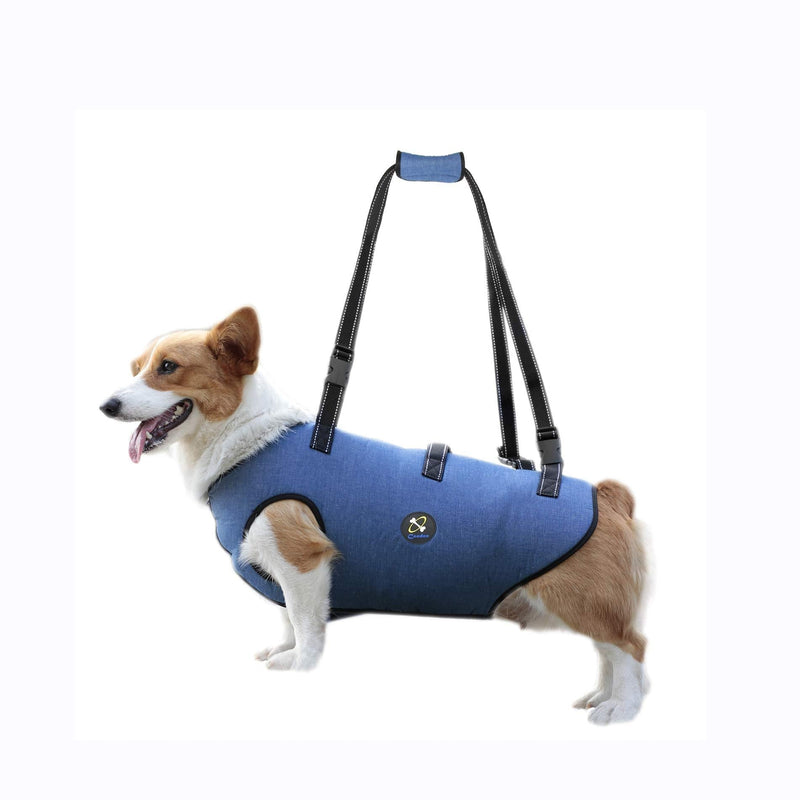Coodeo Dog Lift Harness, Pet Support & Rehabilitation Sling Lift Adjustable Vest Breathable Straps for Old, Disabled, Joint Injuries, Arthritis, Loss of Stability Dogs Walk Extra Small - PawsPlanet Australia