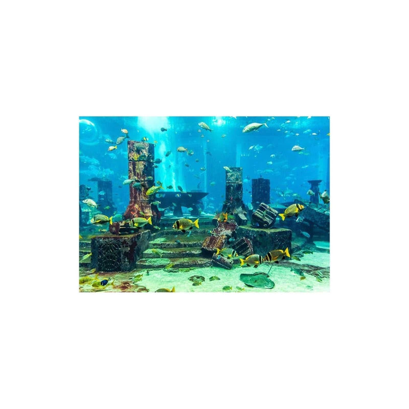 Undersea City Ruins Aquarium Poster, PVC Coral Aquarium Background Underwater Poster Fish Tank Wall Decorations Sticker 122*46cm - PawsPlanet Australia