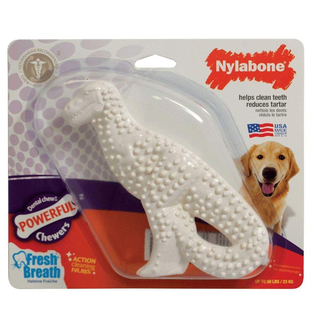 [Australia] - Nylabone Durable Dental Dinosaur Dog Chew 