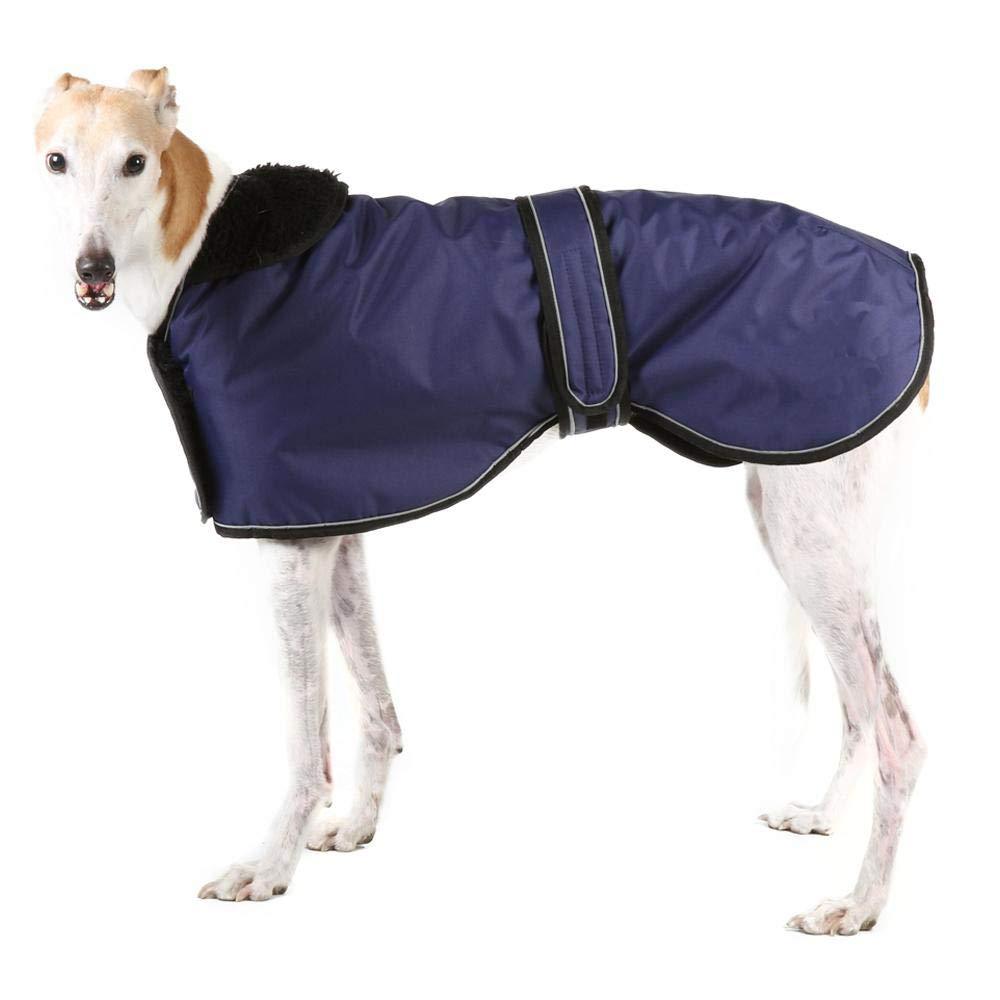 [Australia] - Pethiy Waterproof Dog Jacket, Dog Winter Coat with Warm Fleece Lining, Outdoor Dog Apparel with Adjustable Bands for Medium, Large Dog C400 Large(Back Length: 24in) Navy 