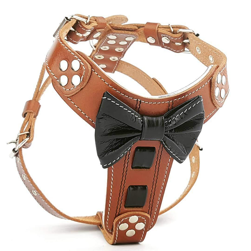 [Australia] - Bestia Bowtie Leather Dog Harness. 100% Leather. Padded Chest Plate. Hand Made in Europe! M- chest size 19.7 to 29.5 inch/ Bullterrier size 
