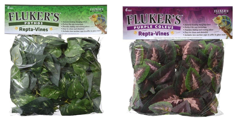 [Australia] - Fluker's Repta-Vines Bundle, Pothos and Purple Coleus, for Reptile and Amphibian Terrariums 