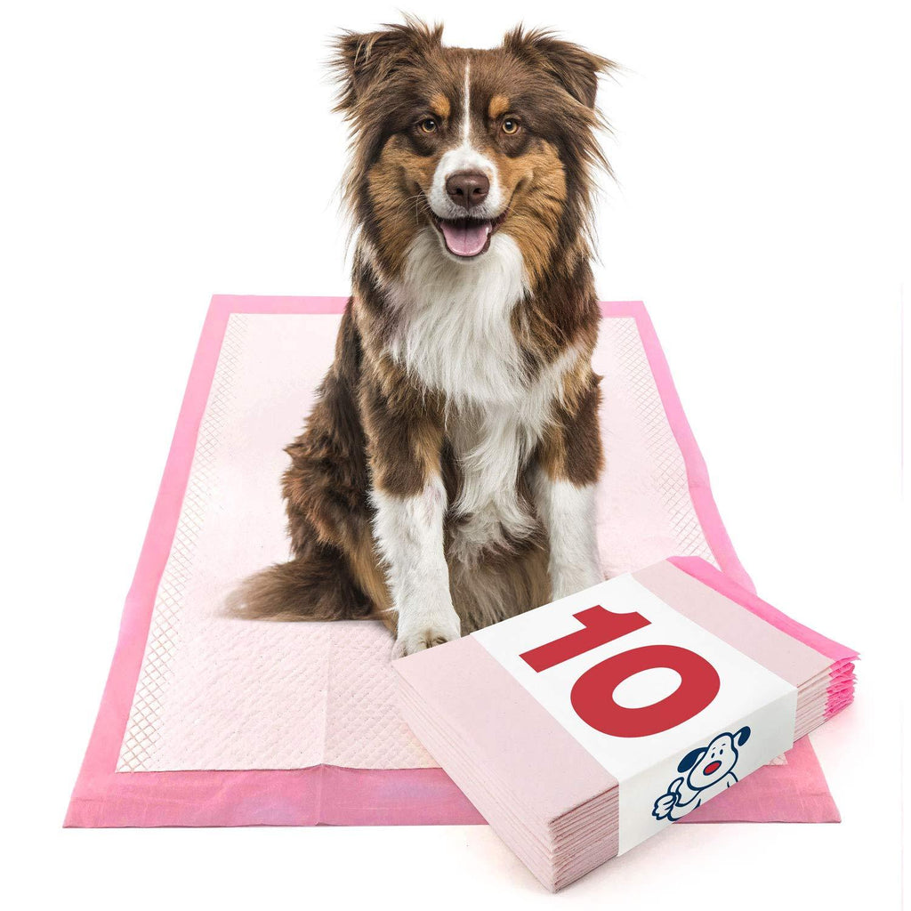 [Australia] - ValuePad Ultra Puppy Pads, Large 28x30 Inch, 10 Count - Premium Non-Slip Pee Pads for Dogs, Tear Resistant, Super Absorbent Polymer Gel Core, Leak-Proof 5-Layer Design 