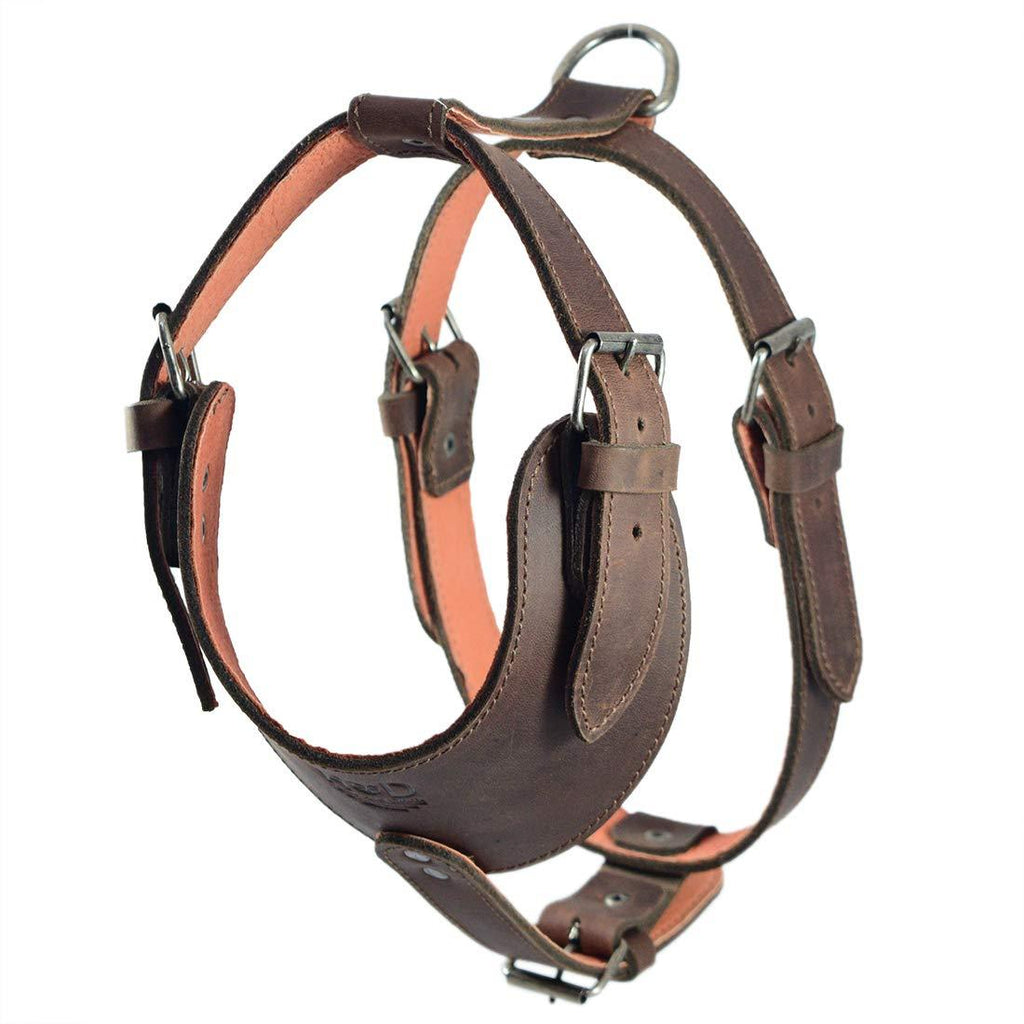 [Australia] - Hide & Drink, Thick Leather Adjustable Dog Harness, No-Pull Pet Harness, Outdoor Pet Vest, Handmade Includes 101 Year Warranty :: Bourbon Brown 
