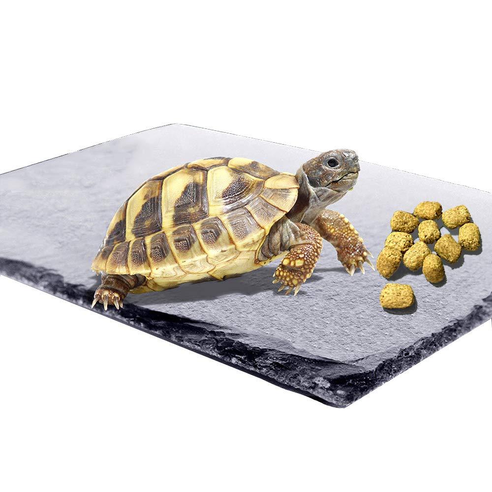 Reptile Basking Platform Tortoise Rock Plate Turtle Bathing Area Feeding Food Dish Resting Terrace 1PCS - PawsPlanet Australia