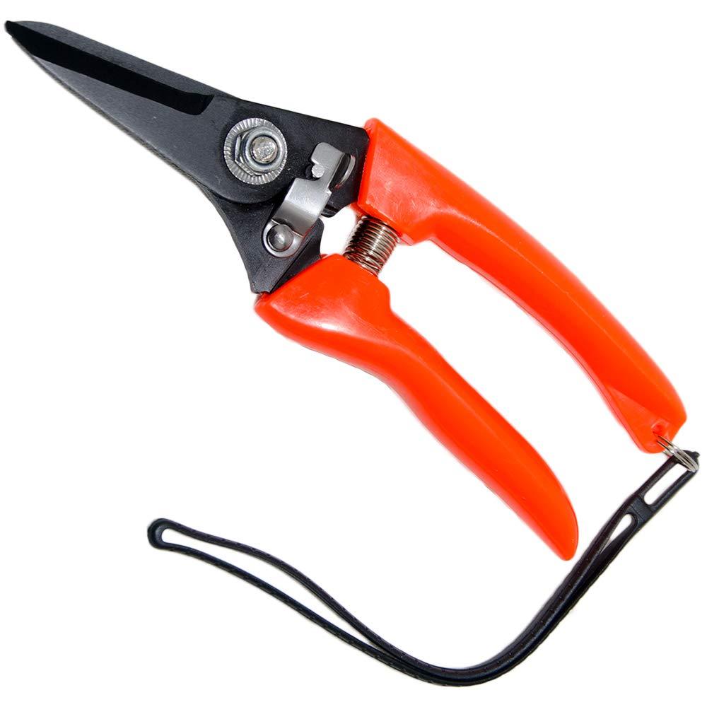 Goat Sheep Pig Hoof Trimmer Multipurpose Twig and Floral Trimming Shears for Garden with 2-inch Twin-Blade - PawsPlanet Australia