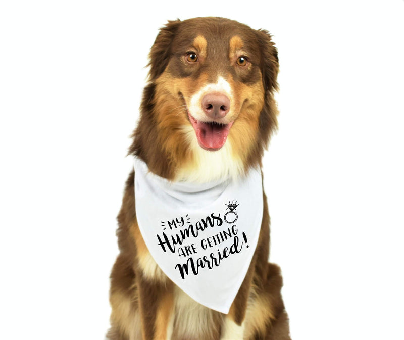 My Humans are Getting Married Dog Bandana, Wedding Dog Bandana, Dog Engagement Announcement, Wedding Photo Prop, Pet Scarf, Pet Accessories - PawsPlanet Australia