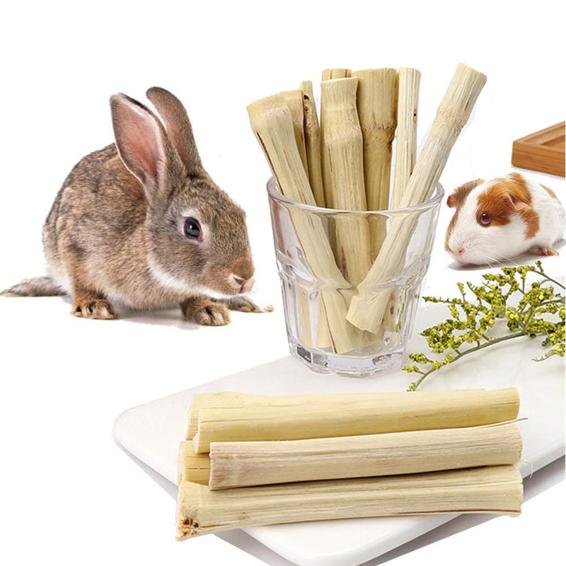 Rabbit Chew Toys, Rabbit Treats Made from Natural Sweet Bamboo, Keep Clean Teeth and Healthy Gums, Bunny chew Toys for Rabbits, Hamsters, Chinchillas, Guinea Pigs, Bunny, Squirrels ect… 5.29 Ounce (Pack of 1) - PawsPlanet Australia