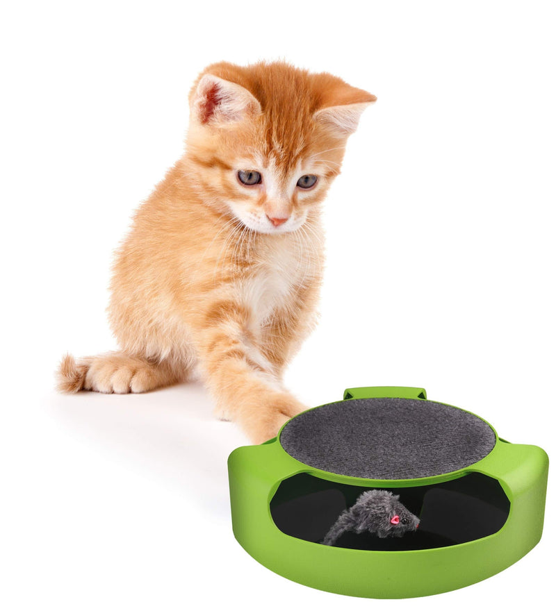 [Australia] - Pets First CAT TOYS Interactive Toys For Cats. Cat Ball Bell Toy|Electric Smart Spinning Feather Cat Toy|Punching Ball Scratching Cat Board| Cat Scratcher Spinning Mouse Toy Exercise for Cats/Kitten 