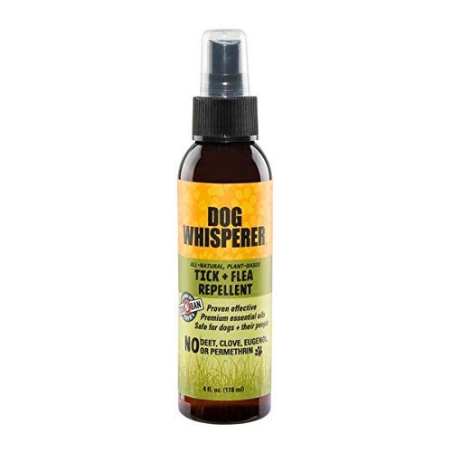 Dog Whisperer Tick + Flea Repellent, All-Natural, Extra Strength, Effective on Dogs and Their People 4 oz - PawsPlanet Australia