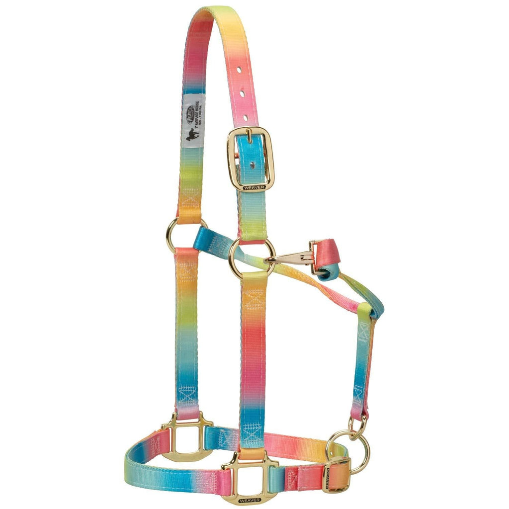 Weaver Leather Polyester Rainbow Adjustable Chin and Throat Snap Halter Average Horse - PawsPlanet Australia