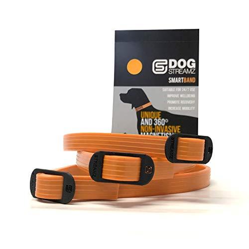 [Australia] - DOG Streamz Magnetic Collar Smart Band, up to 55cm (Orange) | Natural Pain Relief and Recovery for Dogs | Ideal for Arthritis Pain, Inflammation, Rehabilitation and Wellbeing 