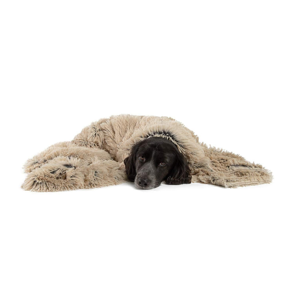 [Australia] - Best Friends by Sheri Luxury Shag Dog & Cat Throw Blanket 40x50, Taupe, Matching Donut Shag Cuddler Bed, Multi-Use, Mat, Sofa Cover, Warming 