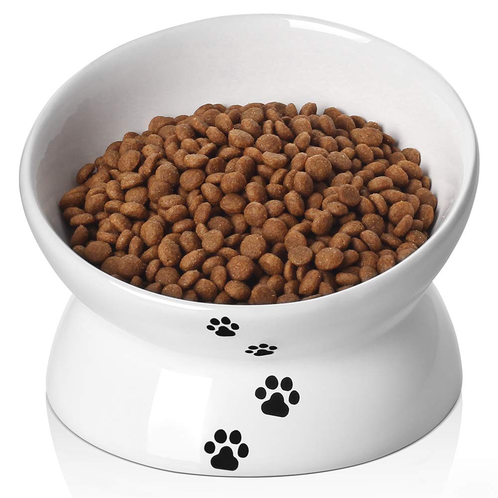 [Australia] - Y YHY Cat Bowl,Raised Cat Food Bowls Anti Vomiting,Tilted Elevated Cat Bowl,Ceramic Pet Food Bowl for Flat-Faced Cats,Small Dogs,Protect Pet's Spine,Dishwasher Safe White 