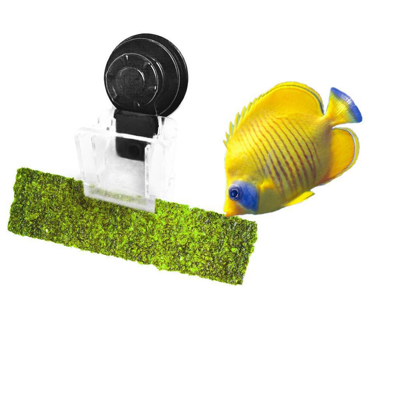Luffy Aquarium Clip, 4x2 Inches, Plastic, No Metal Parts, Includes Strong Suction Cup, Holds Veggies, Algae, Seaweed Sheets, Betta Bed, Feeding Accessories - PawsPlanet Australia
