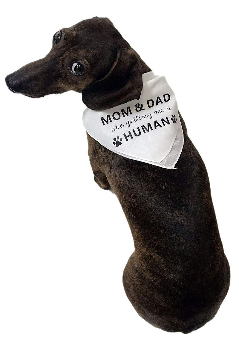 [Australia] - Midlee Mom & Dad are Getting me a Human Dog Bandana Large 