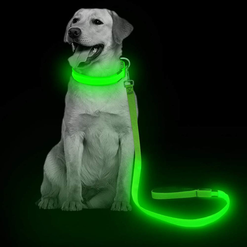 [Australia] - VIZPET LED Dog Leash - USB Light UP Rechargeable Nylon Dog Leash - 47.2 Inch with 3 Flash Modes and Metal Buckle - Keeps Your Dog Safe All The Time Neon Green 