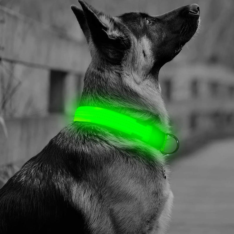 [Australia] - Vizbrite LED Dog Collar,Nylon Reflective Dog Collar, Flashing Light Pet Collar, Makes Your Pet Safe and Seen for Small Medium Large Dogs USB-Large [22.2--24.4 inch / 56--62cm] Neon Green 