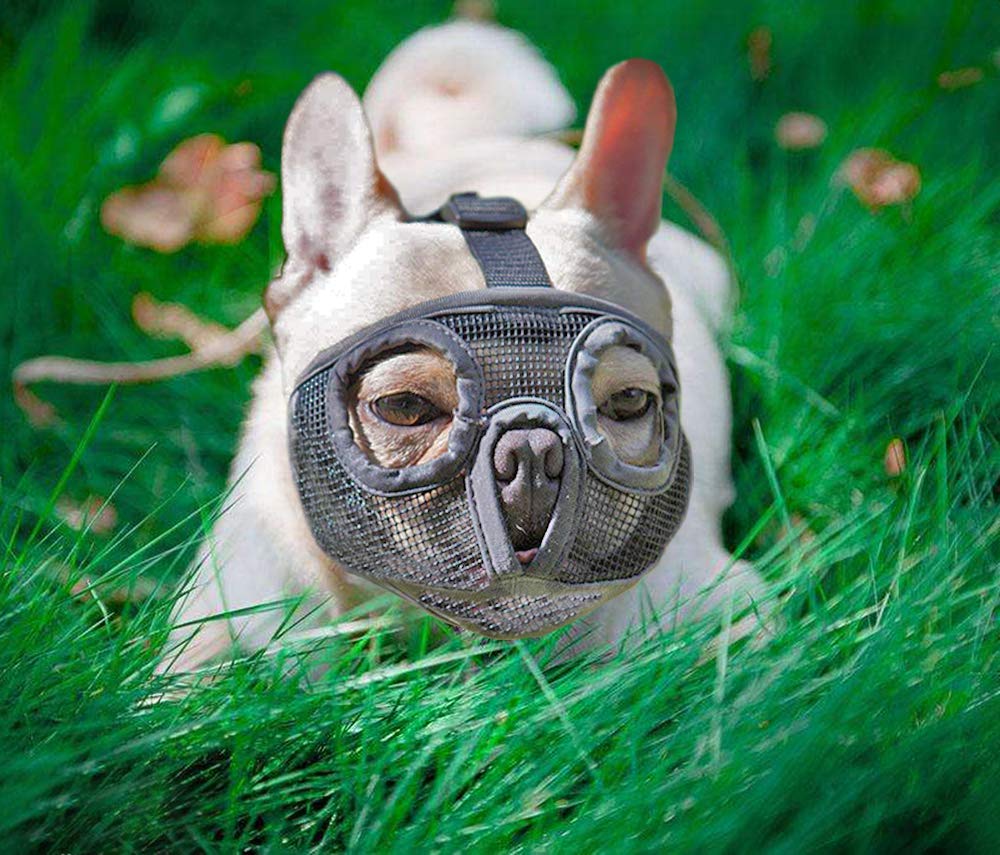 [Australia] - GUXL Short Snout Dog Muzzles- Adjustable Breathable Mesh Bulldog Muzzle for Biting Chewing Barking Training Dog Mask S - head circum 12"-17" Gray 