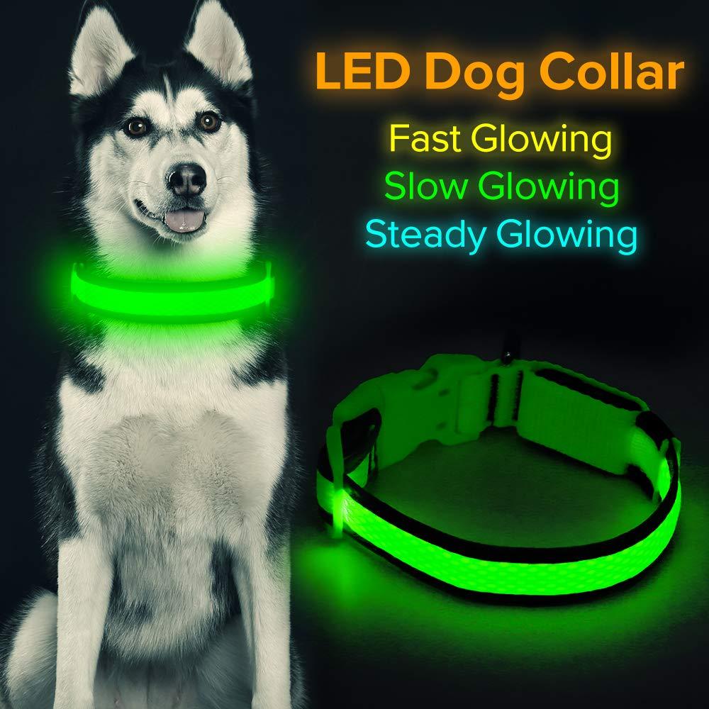 [Australia] - HiGuard LED Dog Collar, USB Rechargeable Light Up Glowing Pet Collar, Comfortable Soft Mesh Safety Dog Collar for Small, Medium, Large Dogs Medium Collar[14"-20" inch / 35.5-51cm] Neon Green 