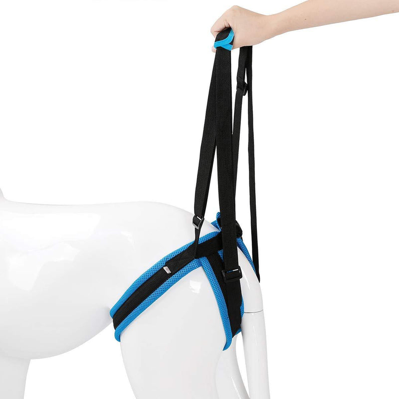 [Australia] - Kismaple Dog Walking Lifting Carry Rear Legs, Adjustable Support Harness Walking Aid Lifting Pulling for Hind Leg Disability Injured Young Old Dogs M 