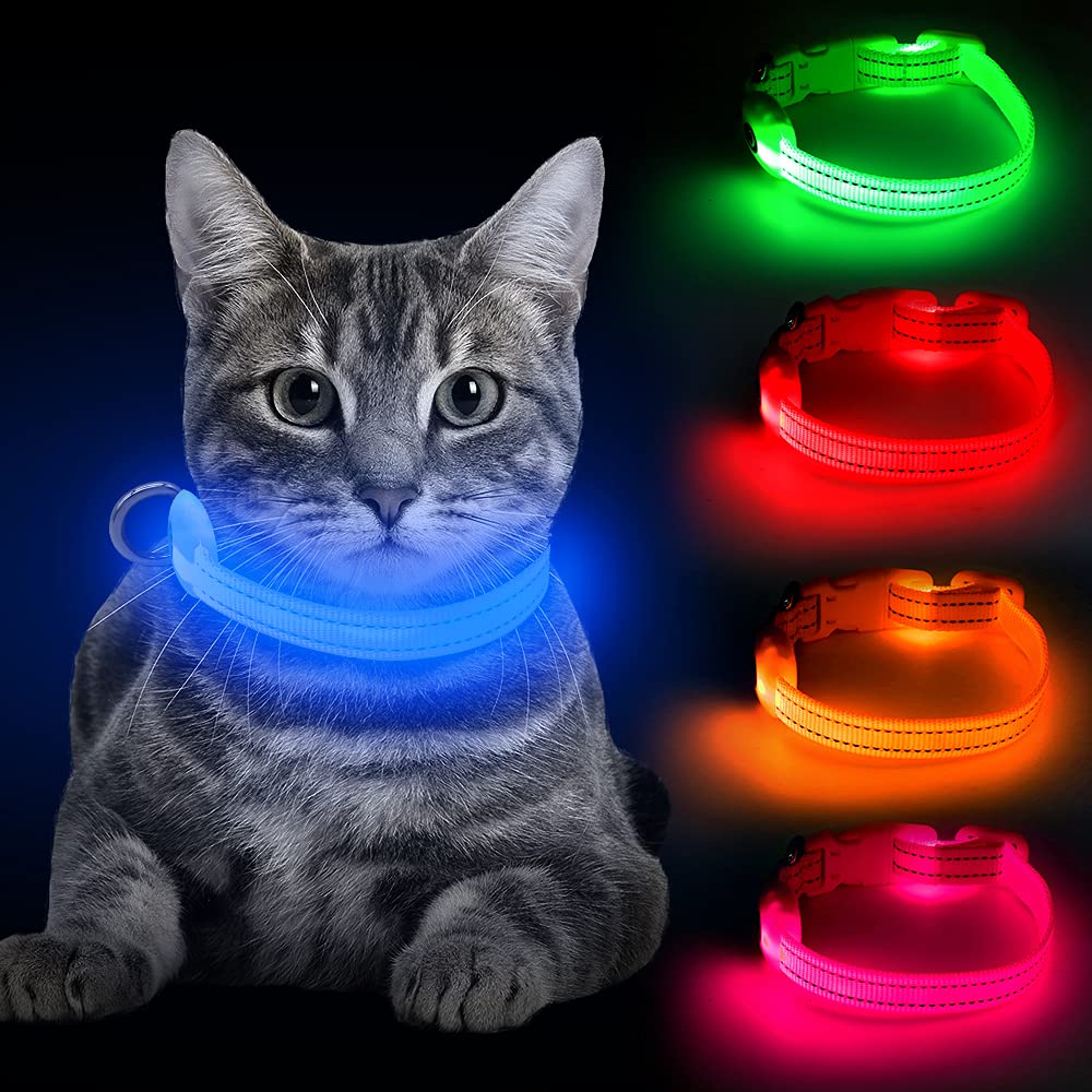 BSEEN Light Up Dog Collars - Rechargeable Glowing LED Dog Collar for Small Dogs & Cats Blue - PawsPlanet Australia
