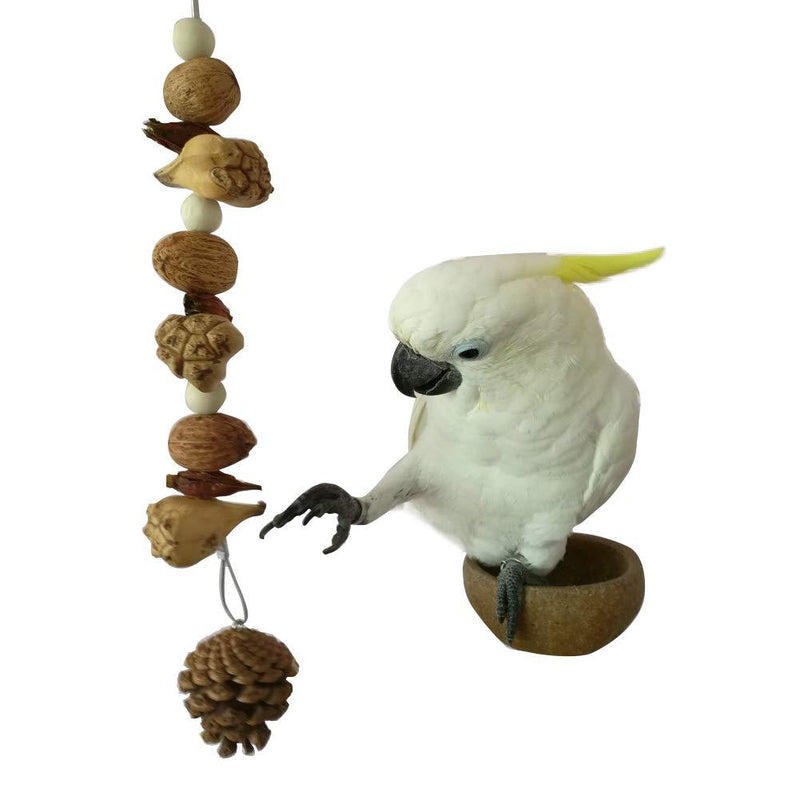 [Australia] - QBLEEV Bird Treats Toy, Parrot Cockatiel Chewing Pine Nuts Toys, Bird Cage Hanging Trim Toys for Conure Parakeet Lovebirds Budgie 