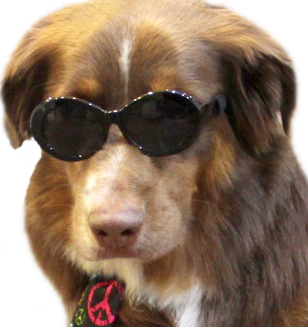 [Australia] - Style Vault G009 Dog Thick Bold Round Oval Sunglasses Medium to Large Dogs 20lbs&Over (Black, UV400) 