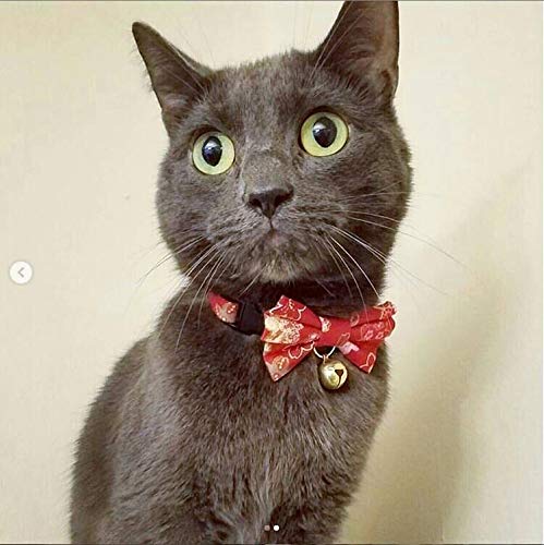 [Australia] - PetSoKoo Bowtie Cat Collar with Bell. Colorful Sakura Kimono Style Bow Tie. 100% Cotton. Safety Breakaway Buckle .Light Weight, Soft, Durable. Medium (8-12 inch,20cm-31cm) Red 