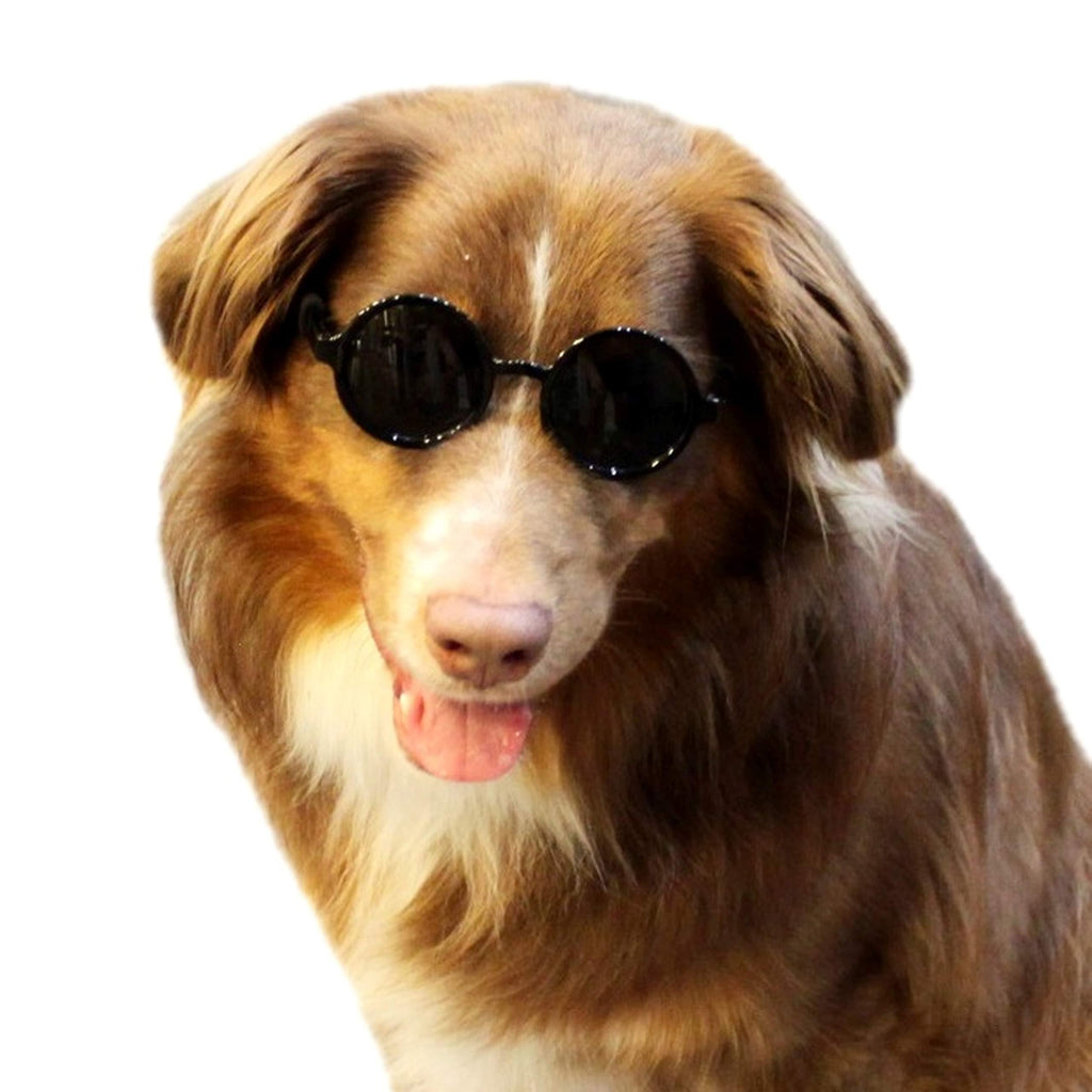 [Australia] - Style Vault G001 Dog Pet Round Sunglasses Goggle Glasses Medium-Large Dogs 20lbs&Over (Black) 
