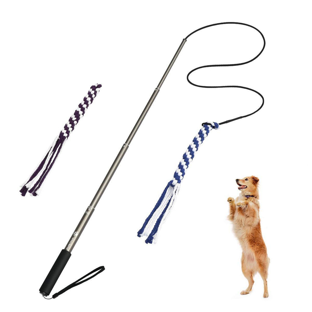 [Australia] - POPETPOP Dog Outdoor Toy Extendable Teaser Wand Outside Interactive Fun Toys with 2 Rope Chew Play Toys for Training Exercise (Size L) 