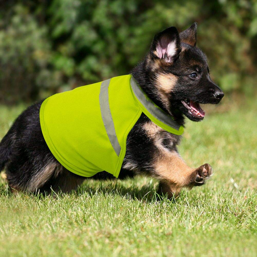 BSEEN Reflective Dog Vest High Visible Dog Jacket with Adjustable Strap & Lightweight Material Protects Your Dog Safe from Cars & Hunting Small[Neck:11.8-15.7”,Chest:14.1-18.1”,Lenght:10.6 Green - PawsPlanet Australia