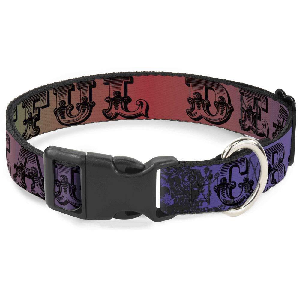 [Australia] - Cat Collar Breakaway Grateful Dead Text Skull Roses Rainbow Fade, 1/2" Wide - Fits 8-12" Neck - Medium (BAC-WGD008-NM) 